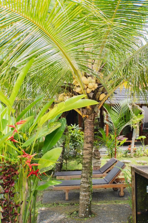 Mancur Guesthouse อูบุด ภายนอก รูปภาพ