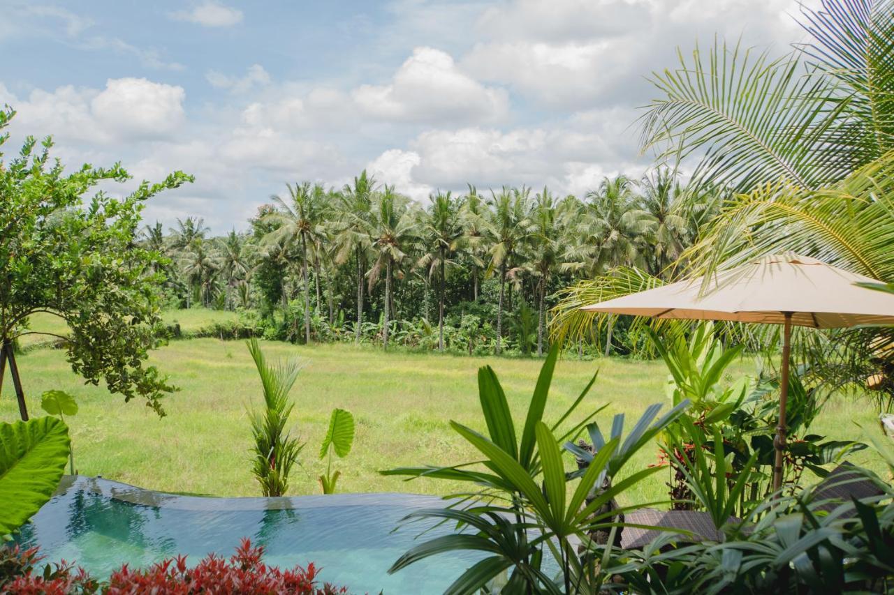 Mancur Guesthouse อูบุด ภายนอก รูปภาพ