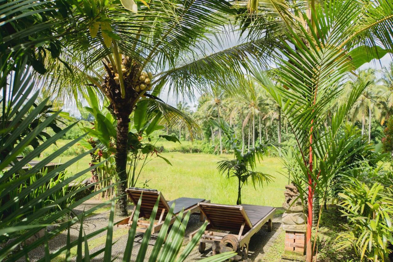 Mancur Guesthouse อูบุด ภายนอก รูปภาพ