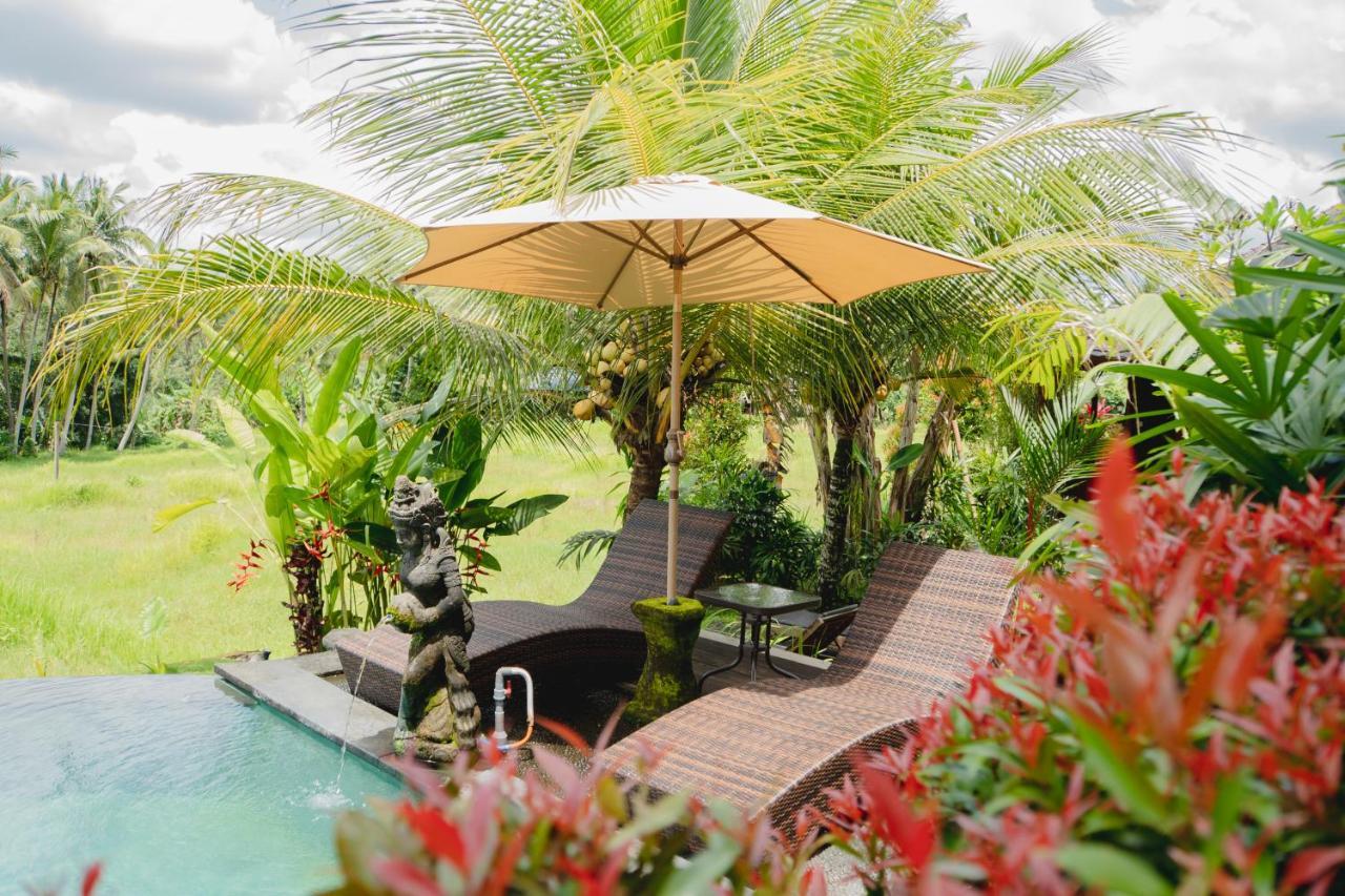 Mancur Guesthouse อูบุด ภายนอก รูปภาพ