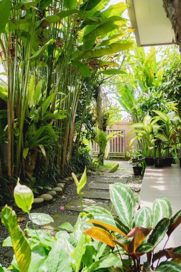 Mancur Guesthouse อูบุด ภายนอก รูปภาพ