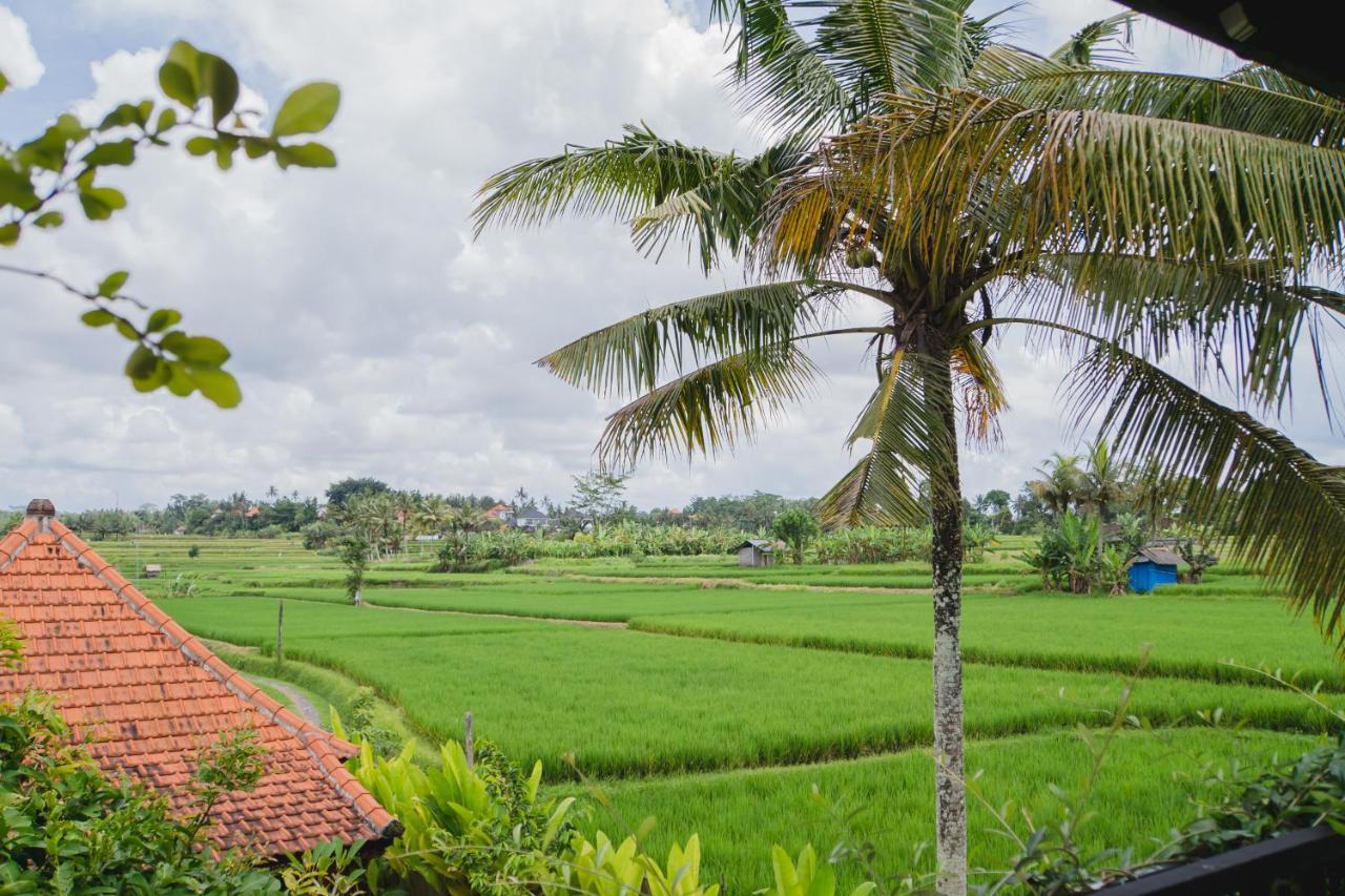 Mancur Guesthouse อูบุด ภายนอก รูปภาพ