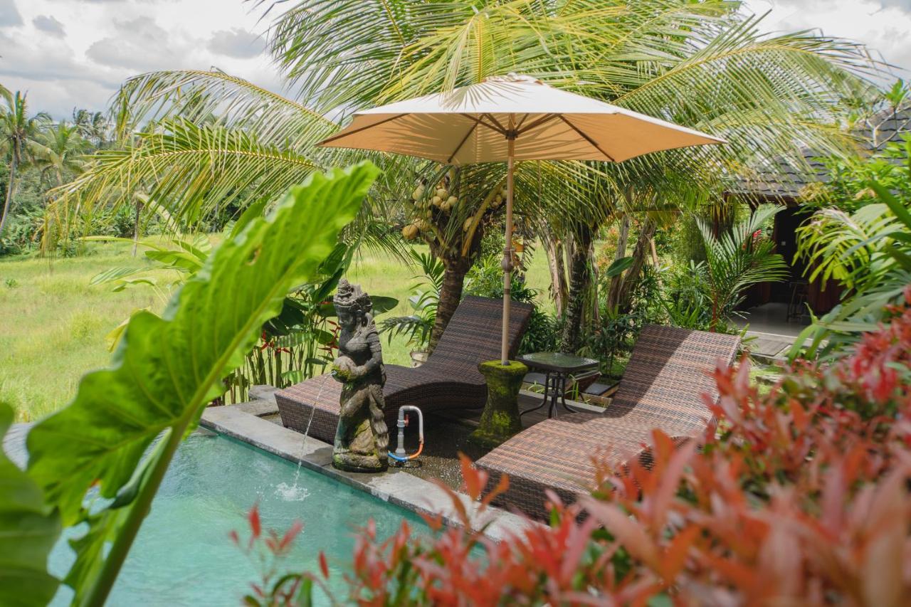 Mancur Guesthouse อูบุด ภายนอก รูปภาพ