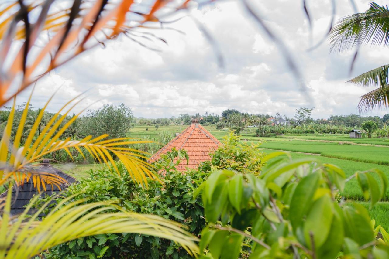 Mancur Guesthouse อูบุด ภายนอก รูปภาพ