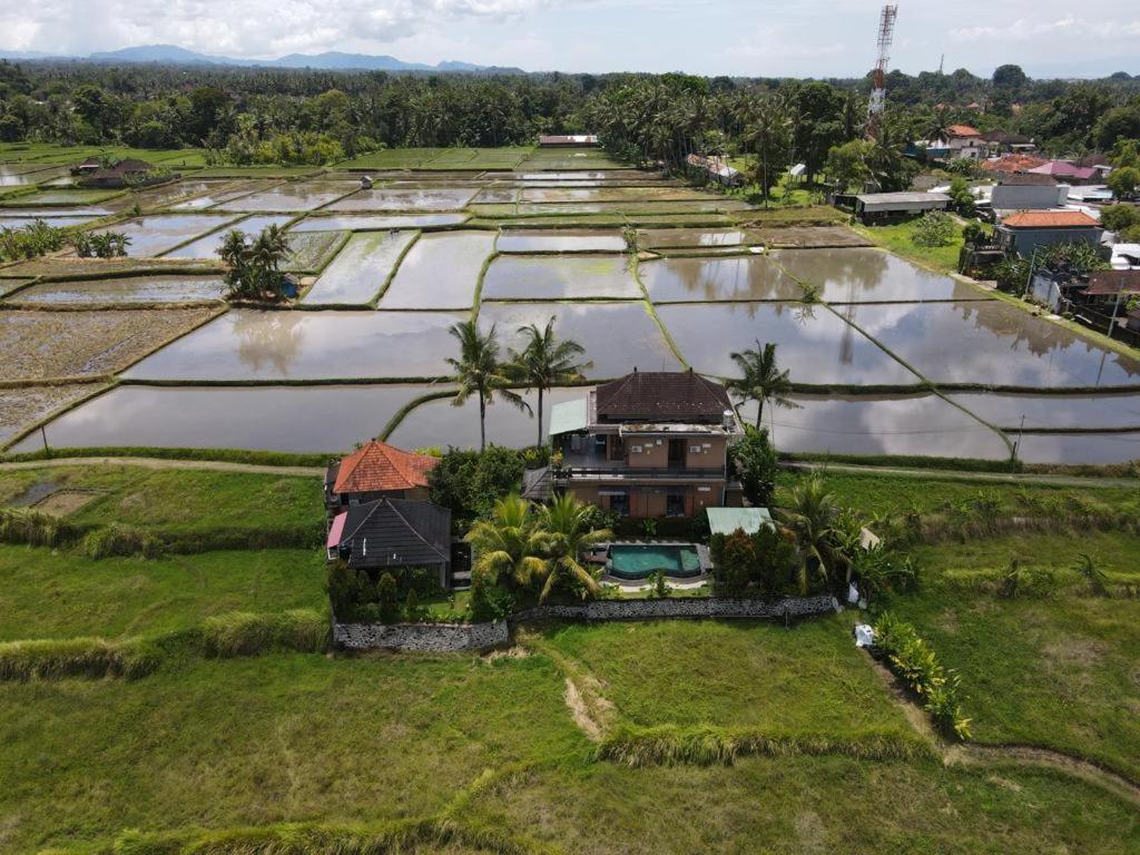 Mancur Guesthouse อูบุด ภายนอก รูปภาพ